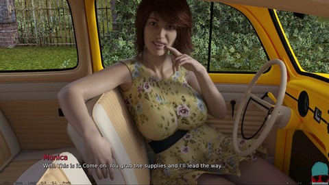 Romanzo visuale cg , gioco pc , guida videogame