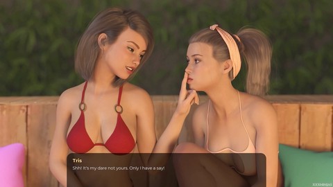 성인 비주얼 노벨, pc 게임 플레이, 상호작용하는