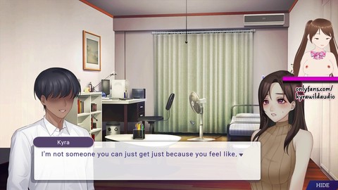 애니 망가, 애니, 헨타이 비주얼 노벨